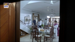 Pinjra - Last Episode 28  - 6th Apr 2023